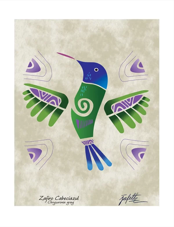 Zafiro cabeciazul 1 - Impreso