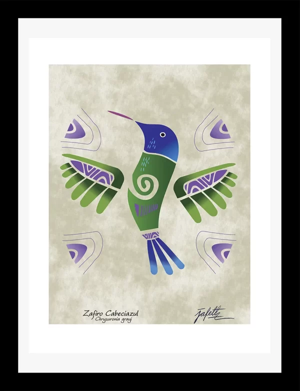 Zafiro cabeciazul 1 - Impreso - Imagen 2
